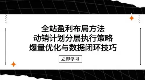 全站盈利布局方法：动销计划分层执行策略，爆量优化与数据闭环技巧_云峰项目库