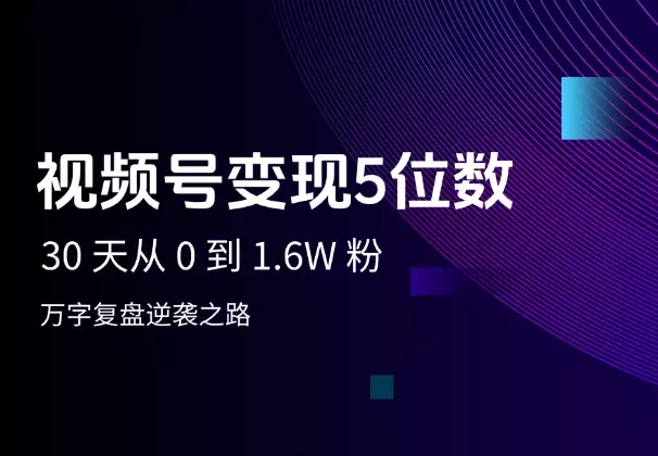视频号30 天从 0 到 1.6W 粉，变现五位数，万字复盘逆袭之路_云峰项目库