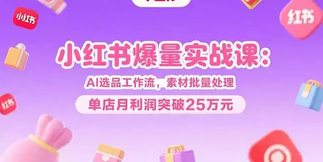 小红书爆量实战课：AI选品工作流，素材批量处理，单店月利润突破25万元_云峰项目库