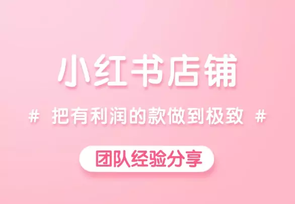 小红书月GMV100W，认准一个品，把有利润的款做到极致_云峰项目库