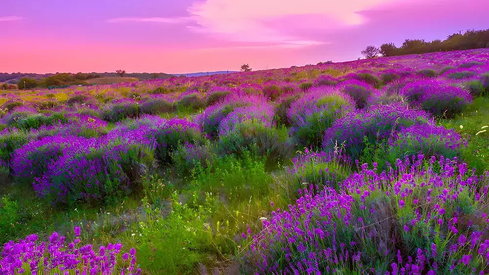 哪个项目最容易赚钱？_云峰项目库