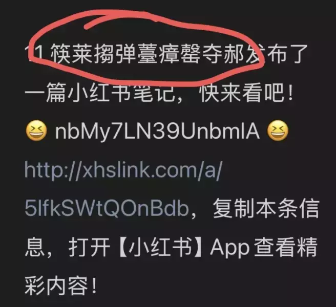 图片[2]_小红书引流新招！复制链接就能自动送资料，全程0成本还不违规_云峰项目库