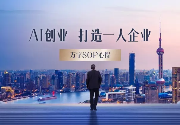 AI创业一年,成功打造一人企业,拥有睡后收入,附万字SOP心得_云峰项目库