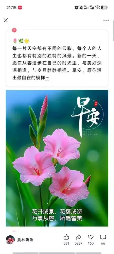 图片[6]_公众号写“老年祝福赛道”，篇篇爆款，流量主撸到手软_风向标创圈_云峰项目库