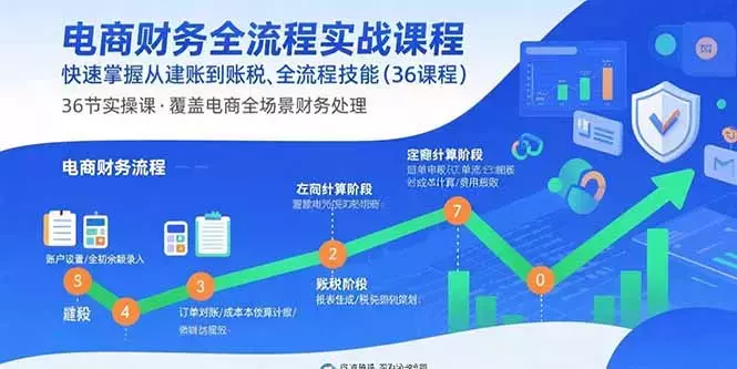 电商财务全流程实战课程：快速掌握从建账到报税的全流程技能（36节课）_云峰项目库