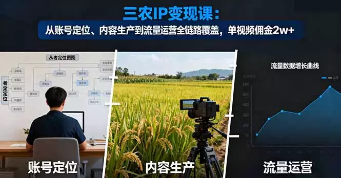 三农IP变现课：从账号定位、内容生产到流量运营全链路覆盖，单视频佣金2w+_云峰项目库