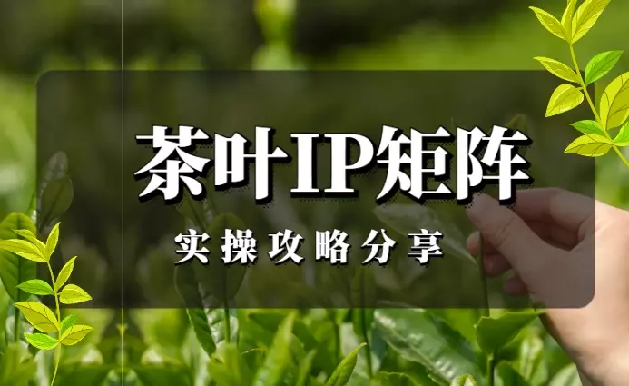 1个月内快速布局！做了30个小红书茶叶茶人IP矩阵号的实操攻略分享【图文】_云峰项目库