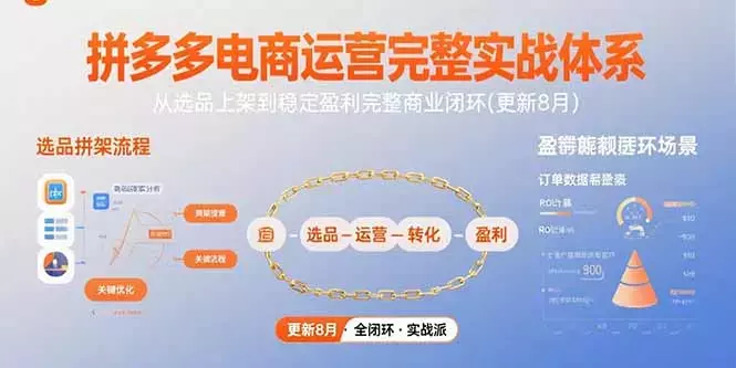 拼多多电商运营完整实战体系,从选品上架到稳定盈利完整商业闭环(更新8月)_云峰项目库