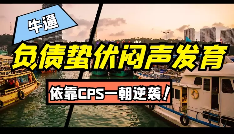 负债蛰伏闷声发育,依靠CPS一朝逆袭【图文】_云峰项目库