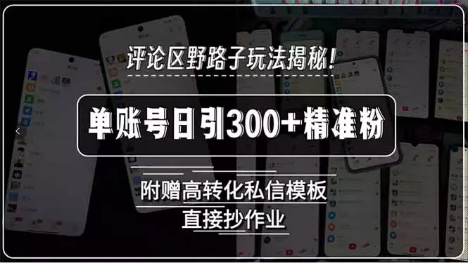 评论区野路子截流玩法揭秘！单账号日引300+精准粉_云峰项目库