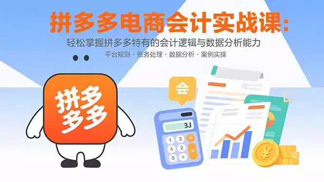 拼多多电商会计实战课：轻松掌握拼多多特有的会计逻辑与数据分析能力_云峰项目库