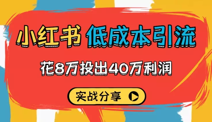 花8万投出40万利润，小红书低成本引流实战分享【图文】_云峰项目库