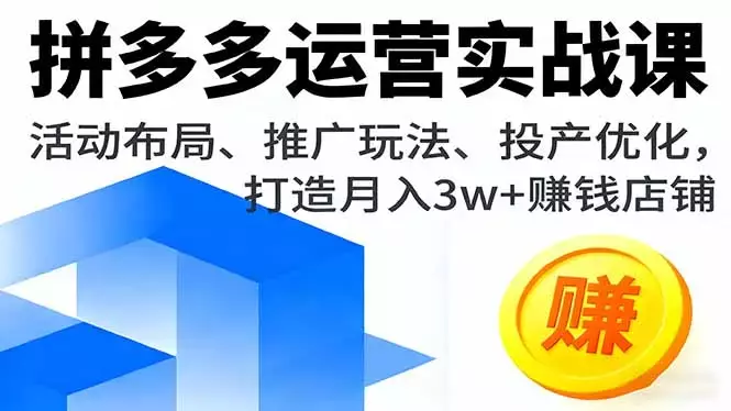 拼多多运营实战课，活动布局、推广玩法、投产优化，打造月入3w+赚钱店铺_云峰项目库