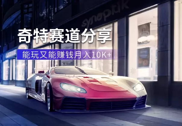 月入10K+既能玩又能赚钱的奇特赛道分享【图文】_云峰项目库