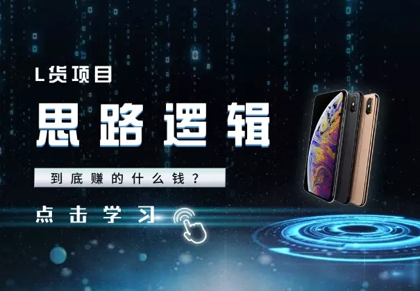 L货，到底赚的什么钱？思路逻辑以及后续的一些思考_云峰项目库
