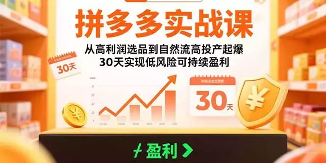 拼多多实战课：从高利润选品到自然流高投产起爆 30天实现低风险可持续盈利_云峰项目库