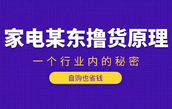 某东撸货原理（自购也省钱）一个行业内的秘密【图文】_云峰项目库