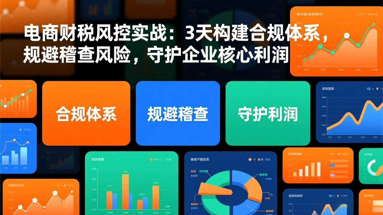 电商财税风控实战：3天构建合规体系，规避稽查风险，守护企业核心利润_云峰项目库