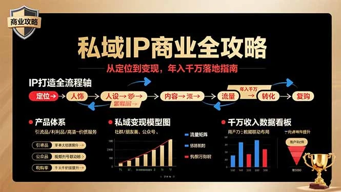 私域IP商业全攻略，从定位到变现，年入千万落地指南_云峰项目库