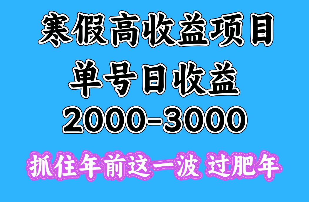 寒假期间一天收益2000-3000+，抓住年前这一波_云峰项目库