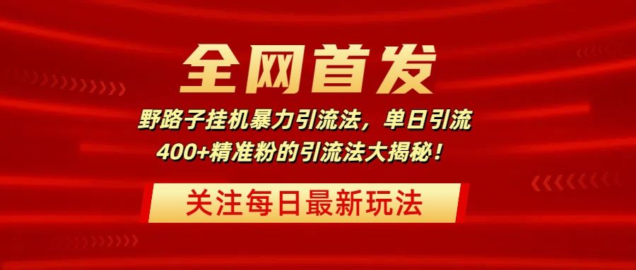 全网首发，野路子挂机暴力引流法，单日引流400+精准粉的引流法大揭秘！_云峰项目库