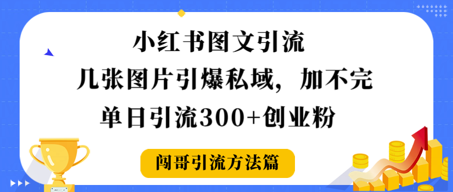 小红书图文引流，几张图片引爆私域加不完，单日引流300＋创业粉_云峰项目库