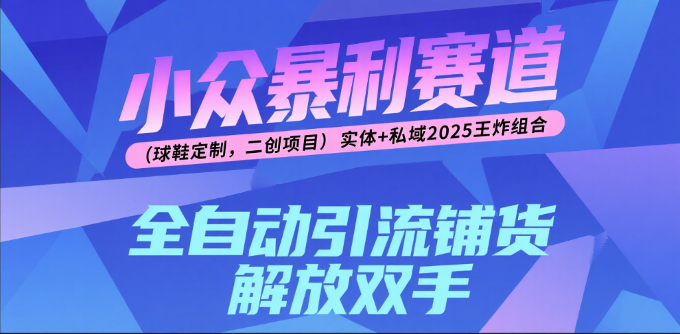 楠—小众暴利赛道（球鞋定制，二创项目）实体+私域2025王炸组合_云峰项目库