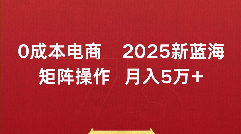 0成本电商2025新蓝海矩阵操作 月入5万+_云峰项目库