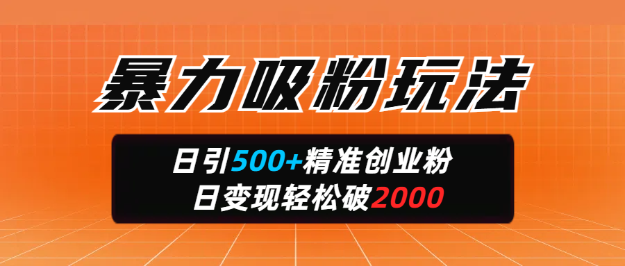 暴力吸粉玩法，日引500+精准创业粉，日变现轻松破2000_云峰项目库