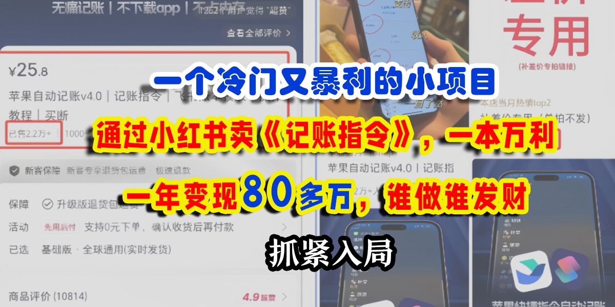 一个冷门又暴利的小项目，通过小红书卖《记账指令》，一本万利，一年变现80多万，谁做谁发财_云峰项目库