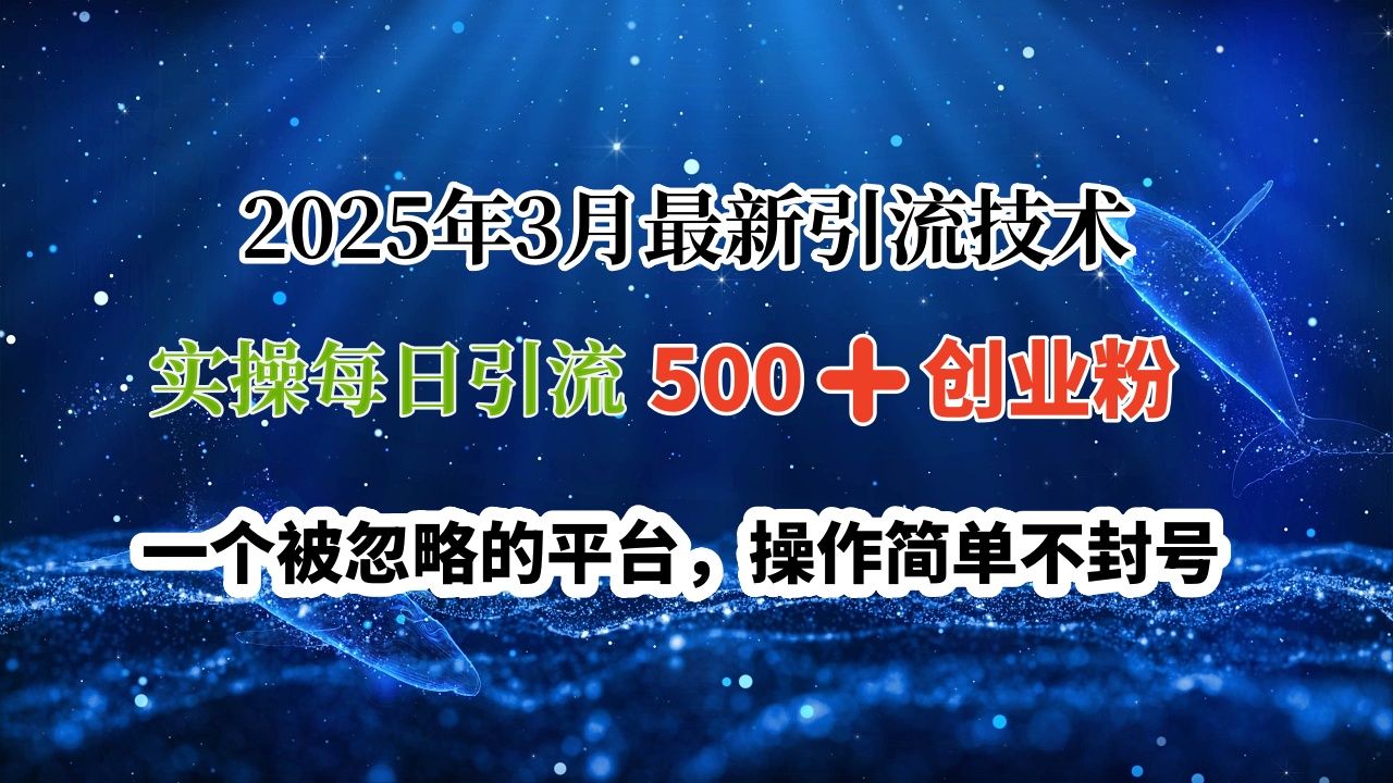 2025年3月最新引流技术，实操每日引流500➕创业粉，一个被忽略的平台，操作简单不封号_云峰项目库