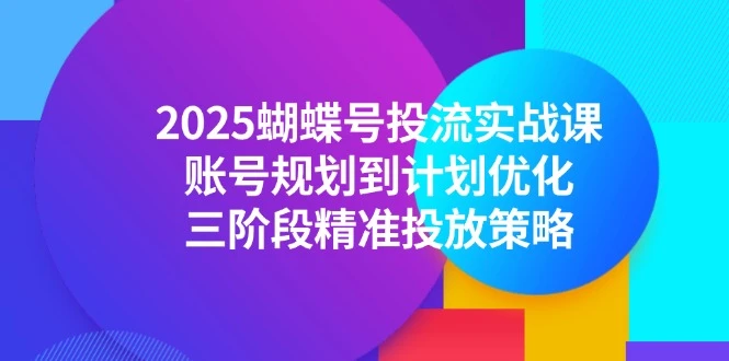 2025蝴蝶号投流实战课，账号规划到计划优化，三阶段精准投放策略_云峰项目库