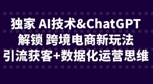 独家 AI技术&ChatGPT解锁 跨境电商新玩法，引流获客+数据化运营思维_云峰项目库