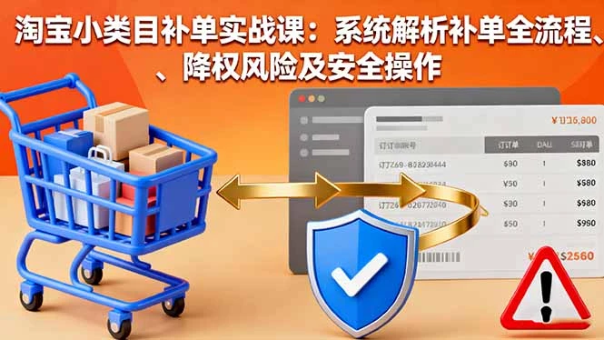 淘宝小类目补单实战课：系统解析补单全流程、降权风险及安全操作_云峰项目库