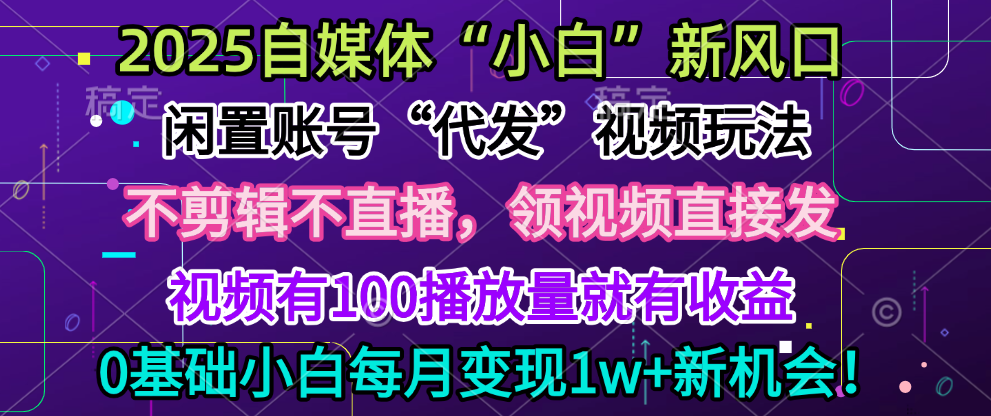 2025每月躺赚5w+新机会，闲置视频账号一键代发玩法，0粉不实名不剪辑，领了视频直接发，0基础小白也能日入300+_云峰项目库