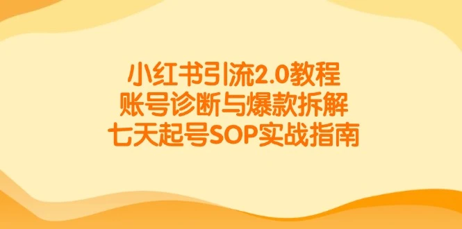 小红书引流2.0教程，账号诊断与爆款拆解，七天起号SOP实战指南_云峰项目库