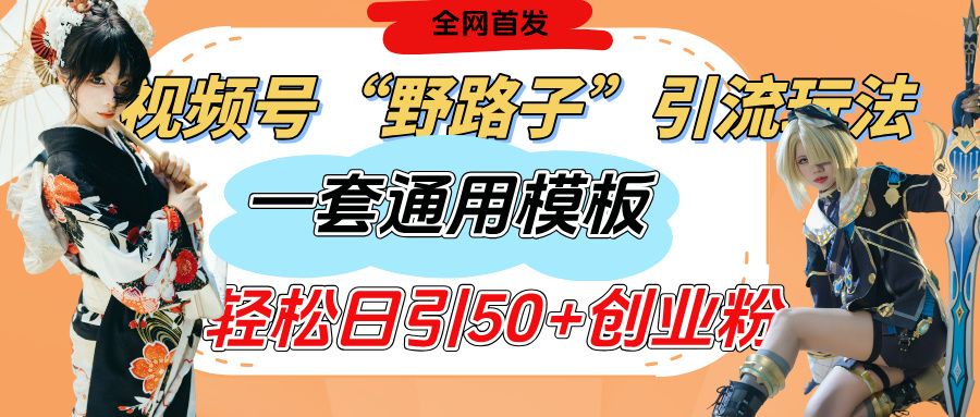 视频号“野路子”玩法，评论区疯狂截流，一套模板单日单号引流50+创业粉_云峰项目库