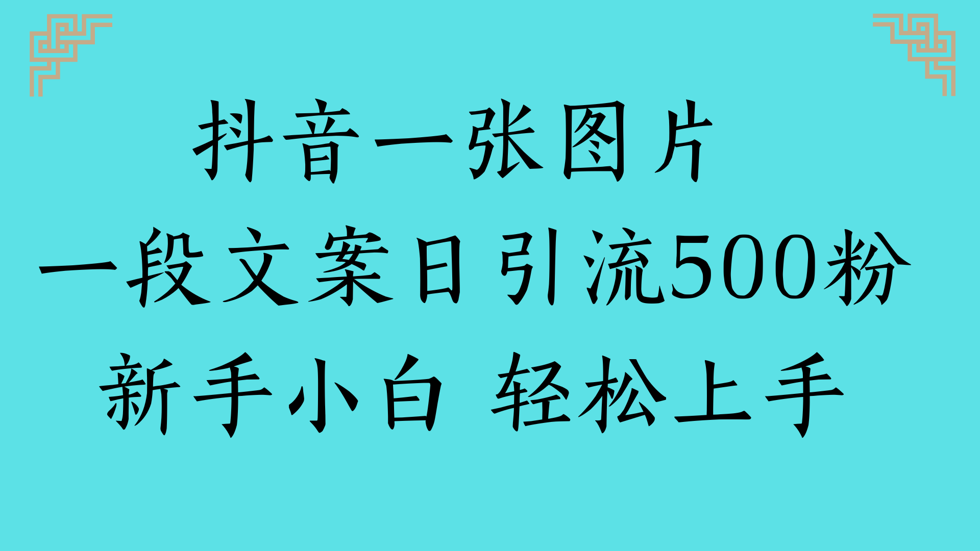 抖音一张图片 一段文案日引流500粉新手小白 轻松上手_云峰项目库