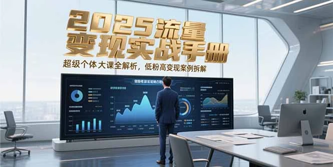 2025流量变现实战手册，超级个体大课全解析，低粉高变现案例拆解_云峰项目库