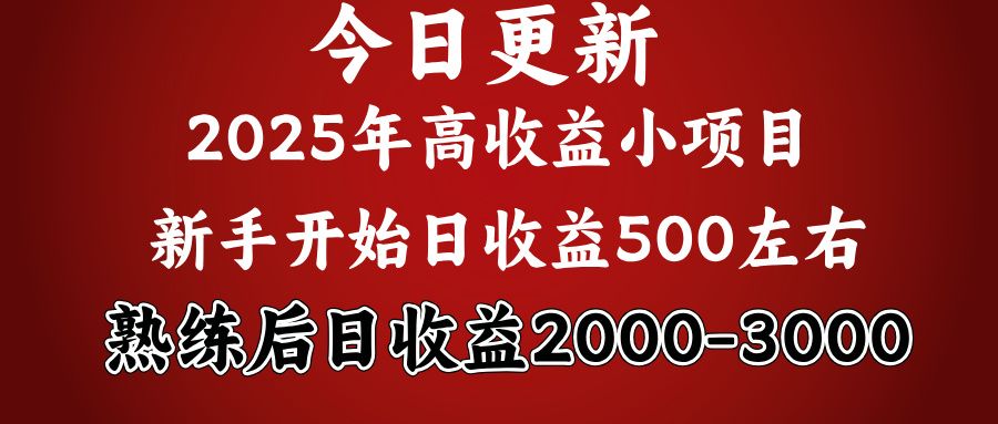 2025开年好项目，新手日收益500+ 熟练掌握后，日收益平均2000多_云峰项目库