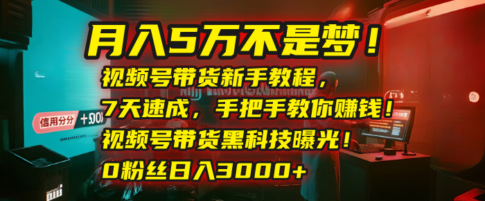 月入5万不是梦！视频号带货新手教程，7天速成，手把手教你赚钱！视频号带货黑科技曝光！0粉丝日入3000+_云峰项目库