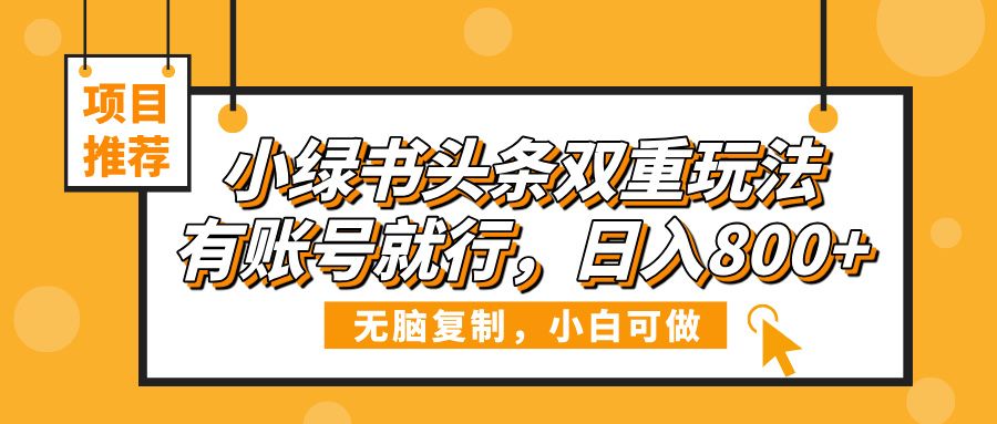 小绿书头条双重玩法，有账号就行，日入800+_云峰项目库