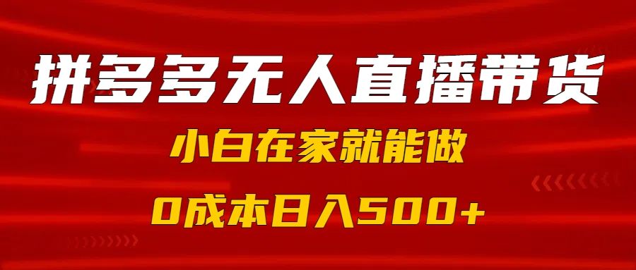 拼多多无人直播带货，小白在家就能做，0成本日入500+_云峰项目库