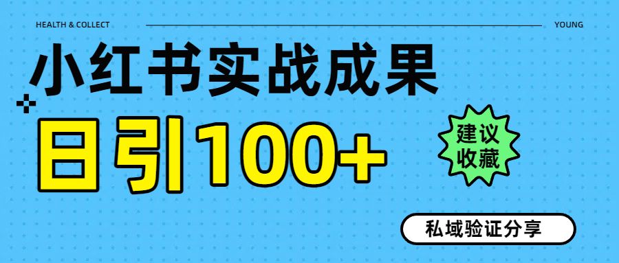 实战成果！小红书图文引流日引100+私域流量经验分享_云峰项目库