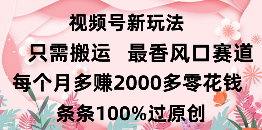 日入2000+，条条100%过原创，视频号最香风口赛道，小白轻松上手_云峰项目库