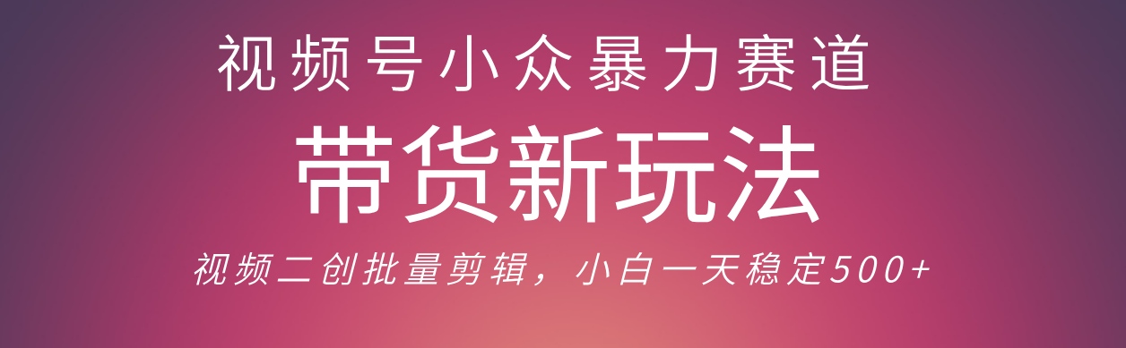 视频号小众暴力赛道，最新带货玩法 小白也能轻松日入500+ 保姆及教程_云峰项目库
