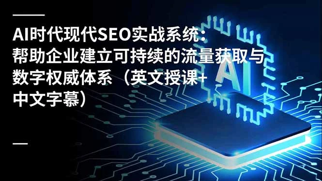 AI时代现代SEO实战系统：帮助企业建立可持续的流量获取与数字权威体系（英文授课+中文字幕）_云峰项目库
