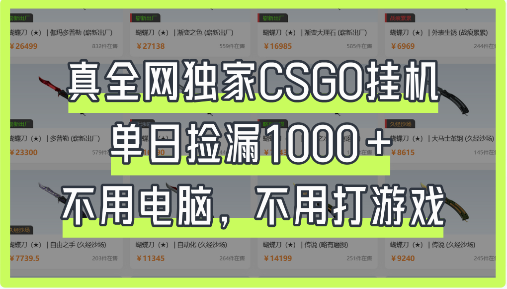真全网独家CSGO挂机，单日捡漏1000+_云峰项目库