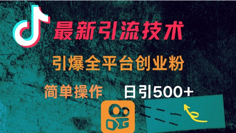 最新引流方法，引爆全平台创业粉操作简单，日引300＋_云峰项目库