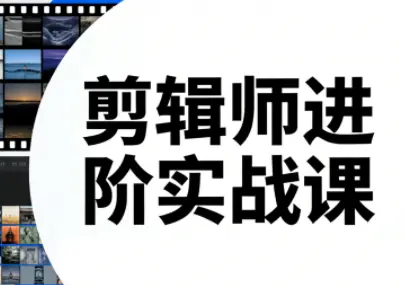剪辑师进阶实战课(更新23年-25年)-云峰项目库